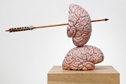 BRAIN THINKING MODELS AND DRAWINGS BY JAN FABRE